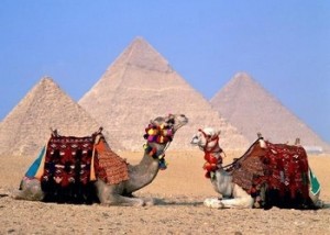 Полезная информация туристам в Египте